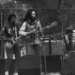Bob Marley Estate