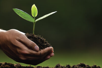 Life Skills for Wealth